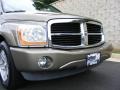 2006 Light Khaki Metallic Dodge Durango SLT 4x4  photo #41