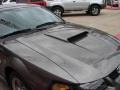 2004 Dark Shadow Grey Metallic Ford Mustang GT Coupe  photo #10