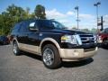 Tuxedo Black 2010 Ford Expedition King Ranch