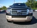 2010 Tuxedo Black Ford Expedition King Ranch  photo #7