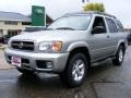 Chrome Silver Metallic - Pathfinder SE 4x4 Photo No. 1