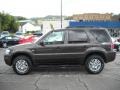 Charcoal Beige Metallic - Mariner Luxury 4WD Photo No. 5