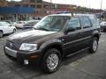 Charcoal Beige Metallic - Mariner Luxury 4WD Photo No. 18