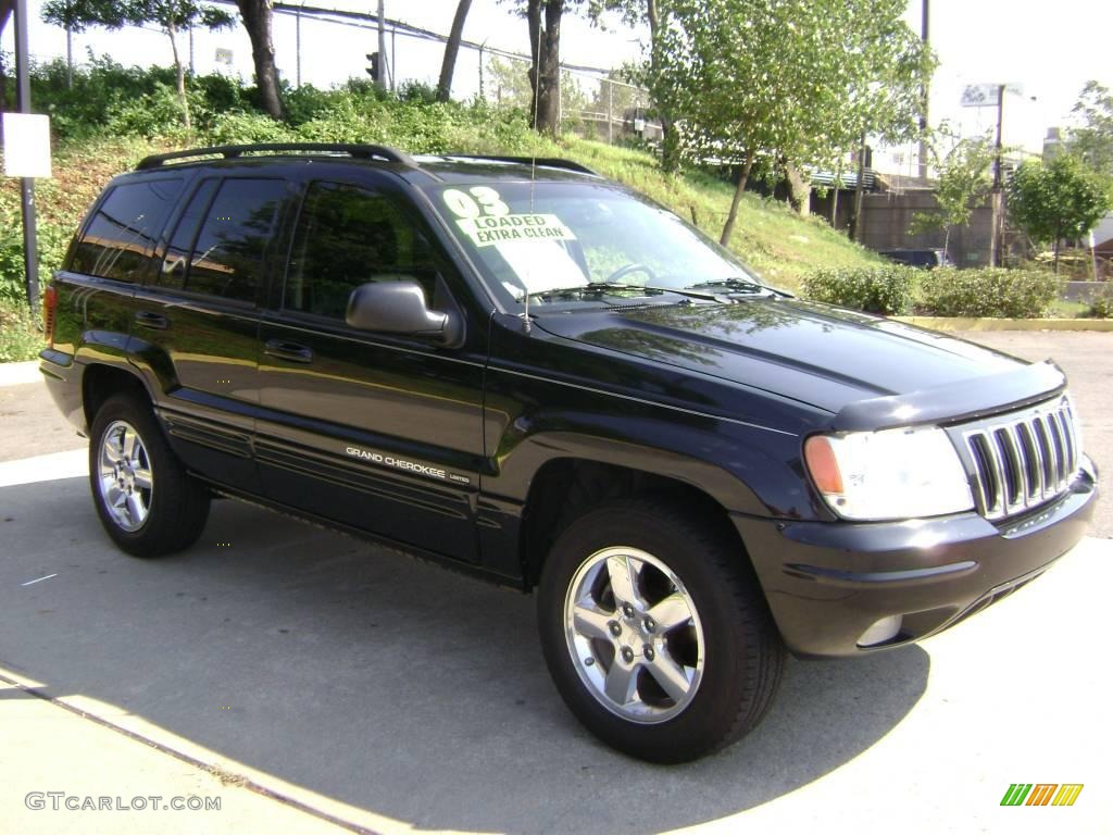 2003 Grand Cherokee Limited - Brilliant Black / Dark Slate Gray photo #3