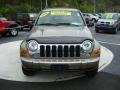 Light Khaki Metallic - Liberty Limited 4x4 Photo No. 7