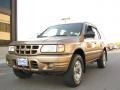 Roman Bronze Metallic - Rodeo LS Photo No. 2
