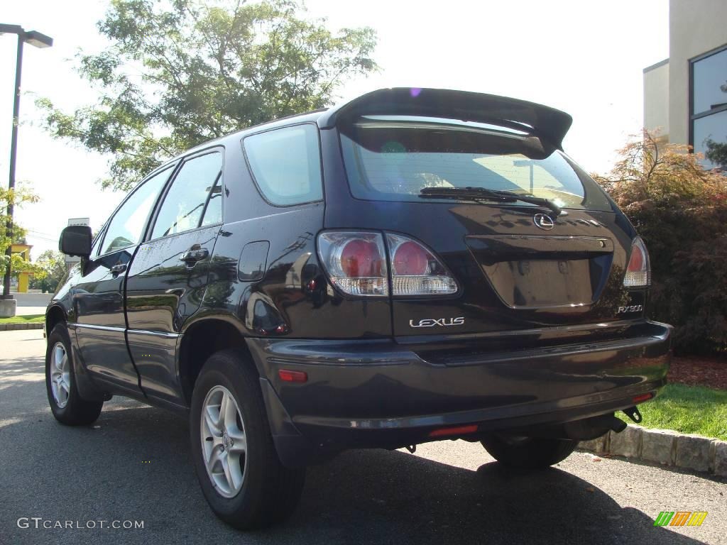 2001 RX 300 AWD - Black Onyx / Ivory photo #5