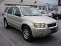 2004 Gold Ash Metallic Ford Escape Limited 4WD  photo #1