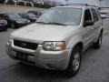 2004 Gold Ash Metallic Ford Escape Limited 4WD  photo #7
