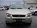 2004 Gold Ash Metallic Ford Escape Limited 4WD  photo #8