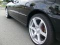 1997 New Black Pearl Metallic Acura Integra LS Coupe  photo #32