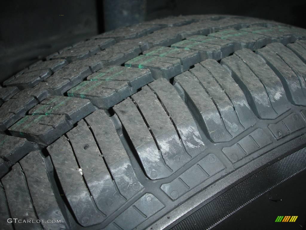 2004 Escape Limited 4WD - Gold Ash Metallic / Medium/Dark Pebble photo #23