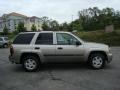 Light Pewter Metallic - TrailBlazer LS 4x4 Photo No. 2