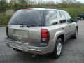 Light Pewter Metallic - TrailBlazer LS 4x4 Photo No. 3