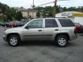 Light Pewter Metallic - TrailBlazer LS 4x4 Photo No. 6