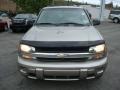 Light Pewter Metallic - TrailBlazer LS 4x4 Photo No. 8