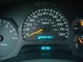 Light Pewter Metallic - TrailBlazer LS 4x4 Photo No. 20