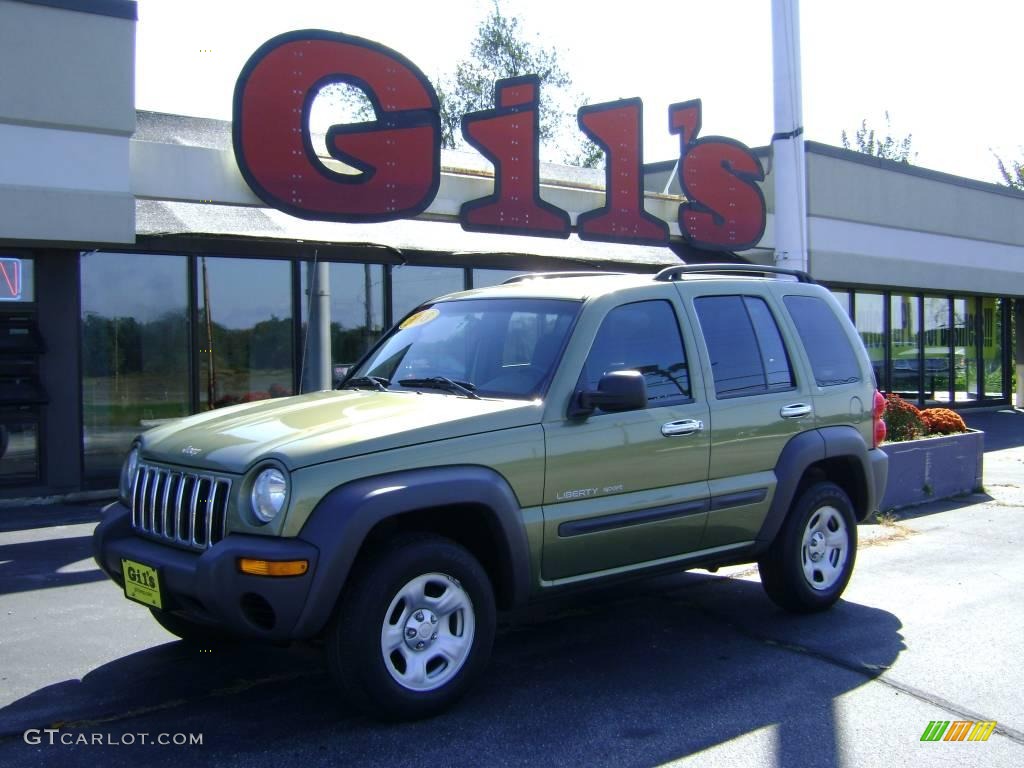 2003 Liberty Sport 4x4 - Cactus Green Pearl / Dark Slate Gray photo #1