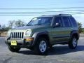 2003 Cactus Green Pearl Jeep Liberty Sport 4x4  photo #3