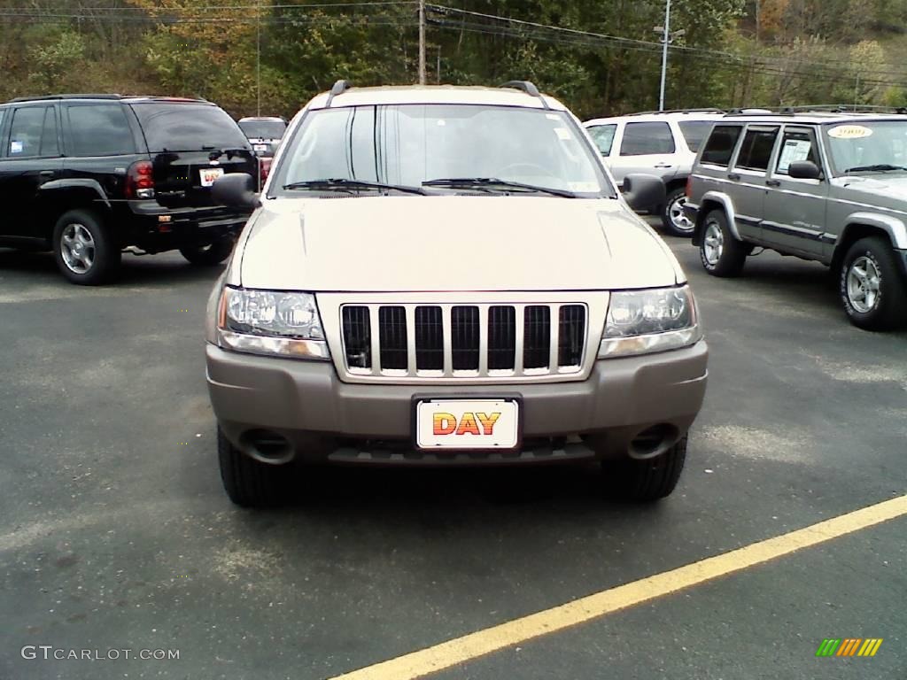 2004 Grand Cherokee Laredo 4x4 - Light Pewter Metallic / Taupe photo #2