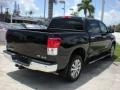 2010 Black Toyota Tundra Platinum CrewMax 4x4  photo #11