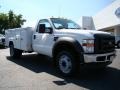 2009 Oxford White Ford F450 Super Duty XL Regular Cab Chassis  photo #1