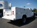 2009 Oxford White Ford F450 Super Duty XL Regular Cab Chassis  photo #3