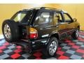 1998 Ebony Black Honda Passport LX 4WD  photo #6