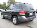 2006 Dark Emerald Green Hyundai Santa Fe Limited 4WD  photo #3