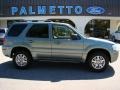 Light Tundra Metallic 2007 Mercury Mariner Luxury