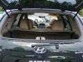 2006 Dark Emerald Green Hyundai Santa Fe Limited 4WD  photo #21