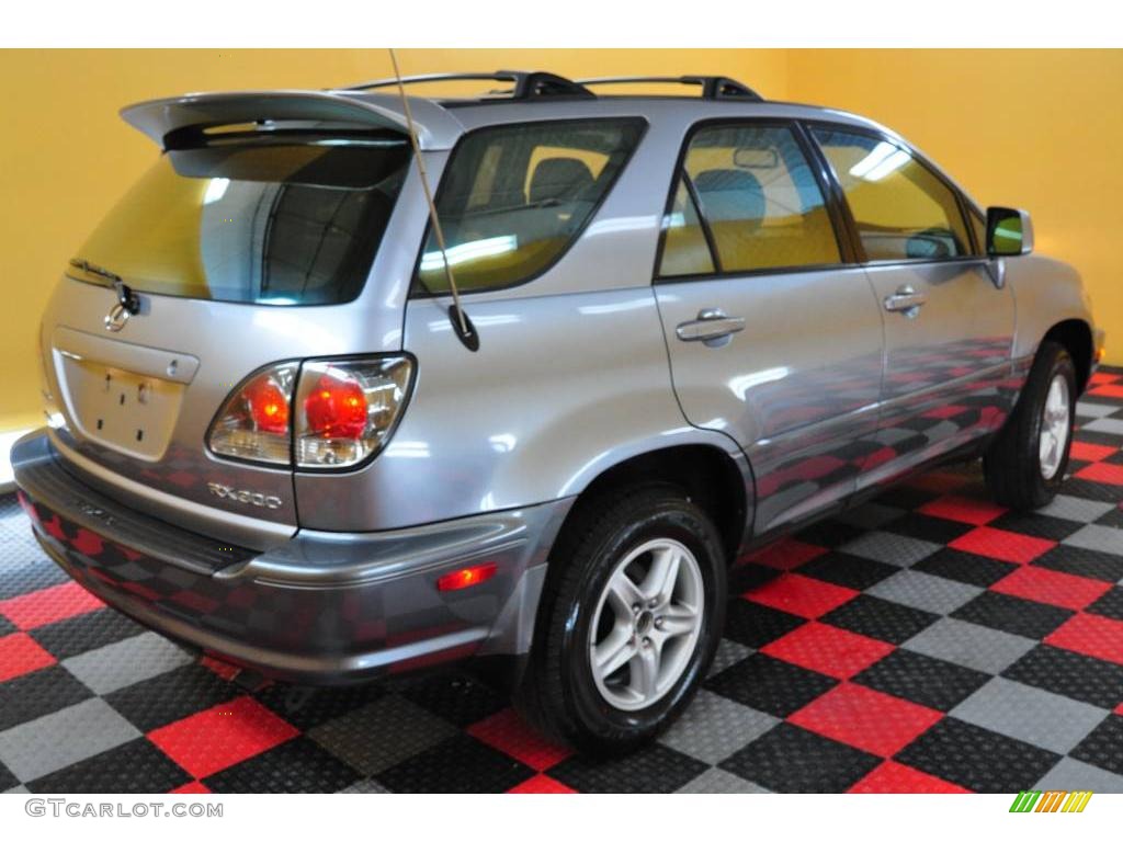 2001 RX 300 AWD - Blue Vapor Metallic / Black photo #6