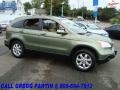 2007 Green Tea Metallic Honda CR-V EX-L 4WD  photo #6