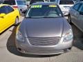 Velvet Beige - Altima 2.5 S Photo No. 2