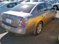 Velvet Beige - Altima 2.5 S Photo No. 6
