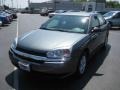 2005 Silver Green Metallic Chevrolet Malibu LS V6 Sedan  photo #10