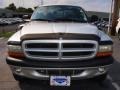 2002 Bright Silver Metallic Dodge Dakota Sport Quad Cab 4x4  photo #8