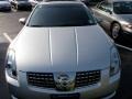 Liquid Silver Metallic - Maxima 3.5 SE Photo No. 3