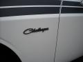 Stone White - Challenger R/T Classic Photo No. 11