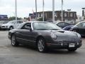 2003 Mountain Shadow Grey Ford Thunderbird Premium Roadster  photo #3