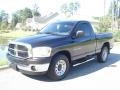 2007 Black Dodge Ram 1500 ST Regular Cab  photo #2