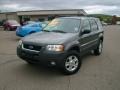 2004 Dark Shadow Grey Metallic Ford Escape XLT V6 4WD  photo #1
