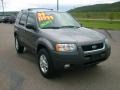 2004 Dark Shadow Grey Metallic Ford Escape XLT V6 4WD  photo #3