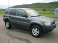 2004 Dark Shadow Grey Metallic Ford Escape XLT V6 4WD  photo #4