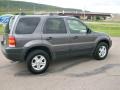 2004 Dark Shadow Grey Metallic Ford Escape XLT V6 4WD  photo #6