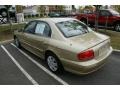 2002 Desert Sand Hyundai Sonata GLS V6  photo #6