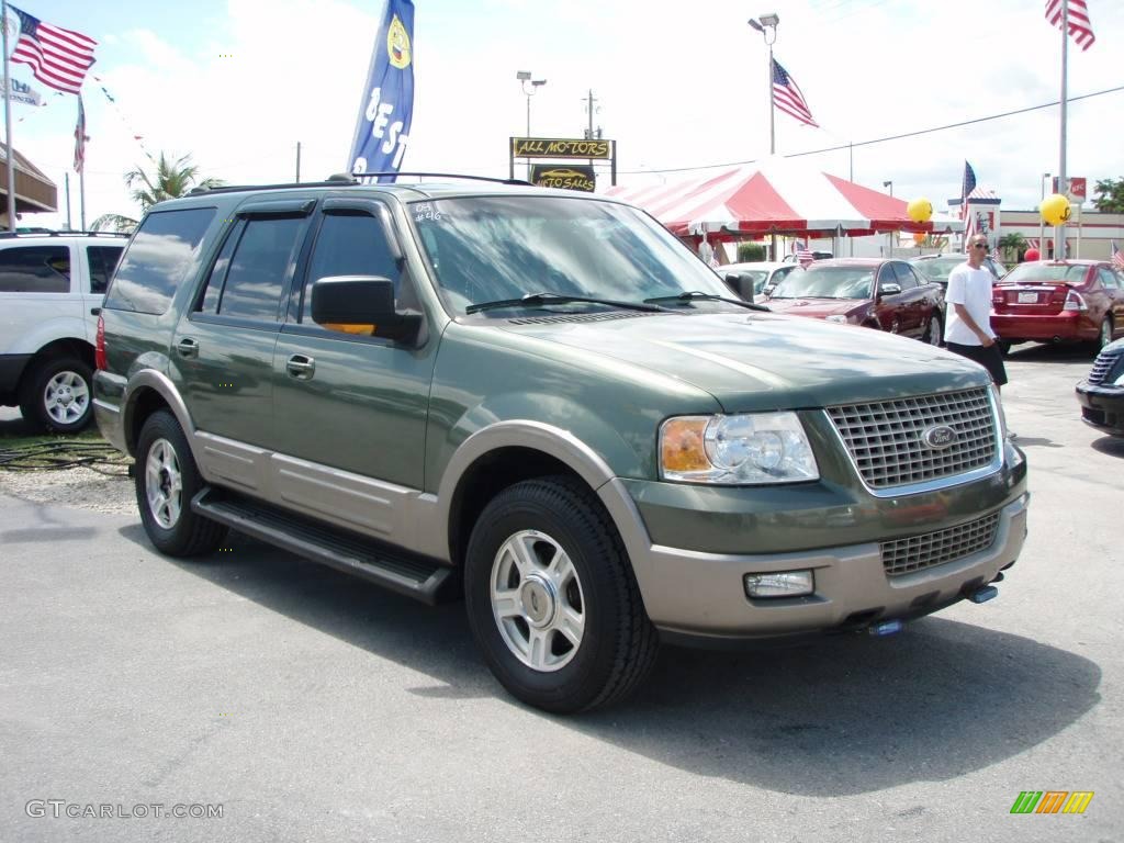 2003 Expedition Eddie Bauer 4x4 - Estate Green Metallic / Medium Parchment photo #1