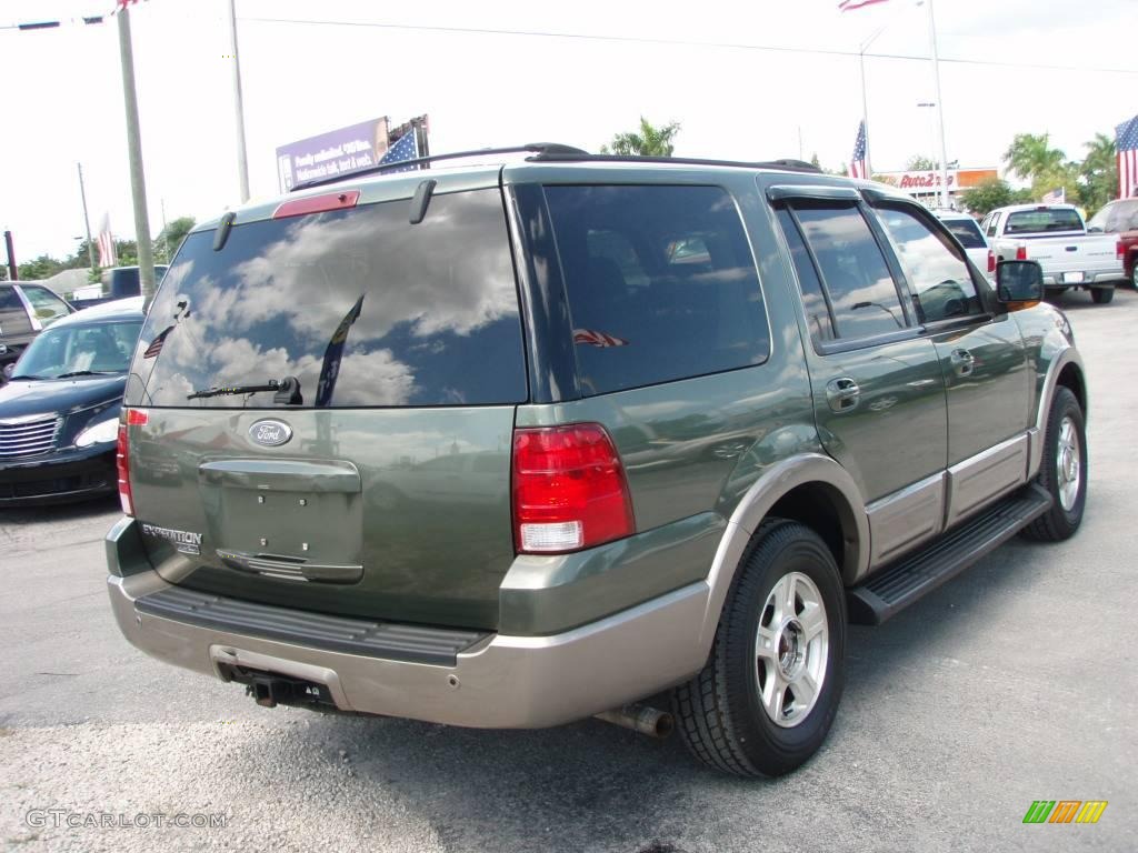 2003 Expedition Eddie Bauer 4x4 - Estate Green Metallic / Medium Parchment photo #3