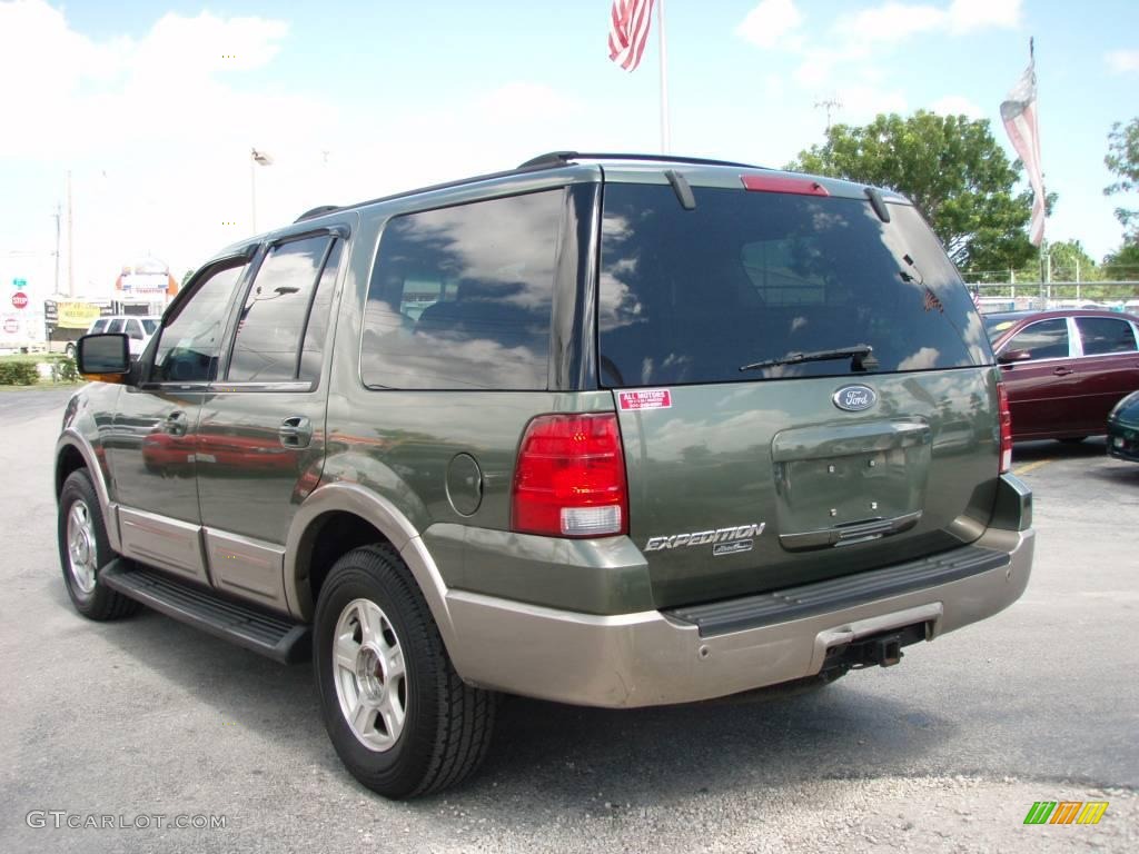 2003 Expedition Eddie Bauer 4x4 - Estate Green Metallic / Medium Parchment photo #6