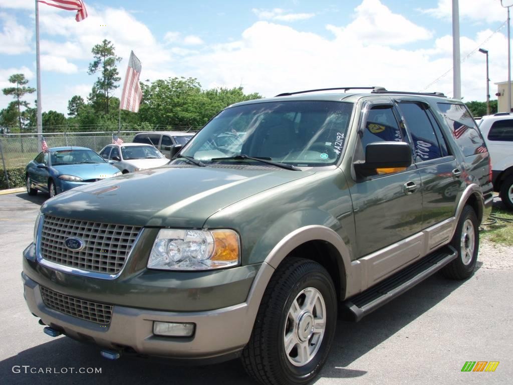 2003 Expedition Eddie Bauer 4x4 - Estate Green Metallic / Medium Parchment photo #8